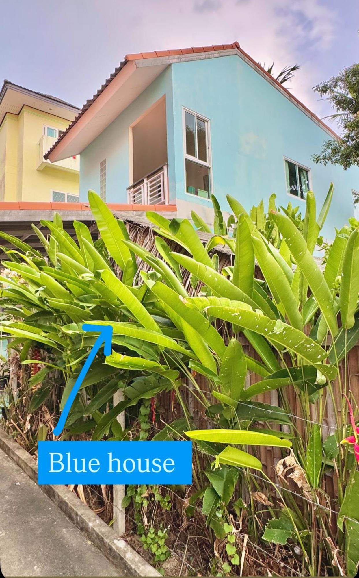 Sea Dreamer Beachfront Apartments Phuket Bagian luar foto